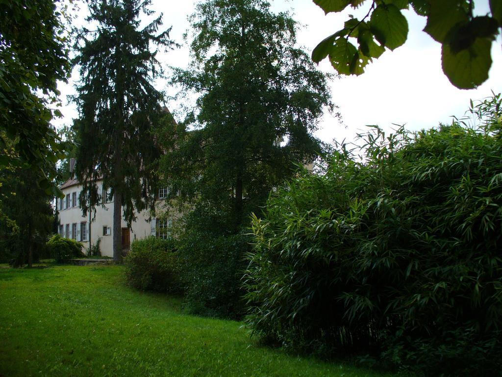 Château De Werde Matzenheim Buitenkant foto