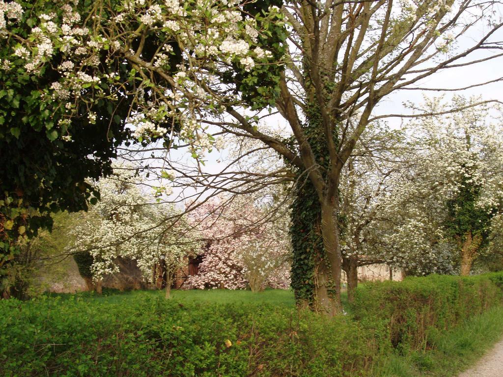 Château De Werde Matzenheim Buitenkant foto