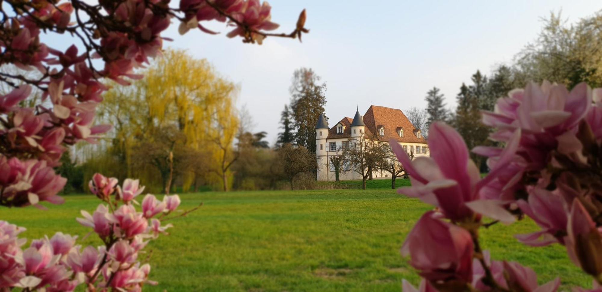Château De Werde Matzenheim Buitenkant foto