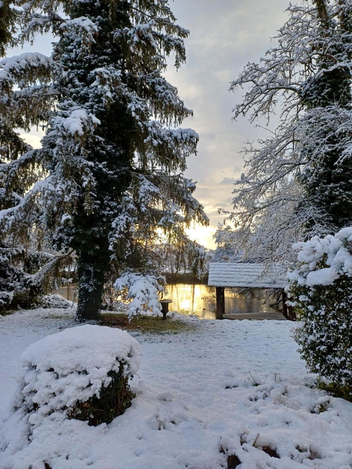 Château De Werde Matzenheim Buitenkant foto